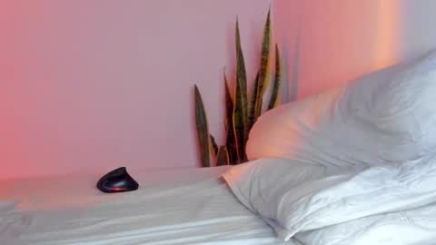 Snapshot of fabrizio_amery chatting on 11/09/25, 01:59 - A N D E R online show from 11/09/25, 01:59