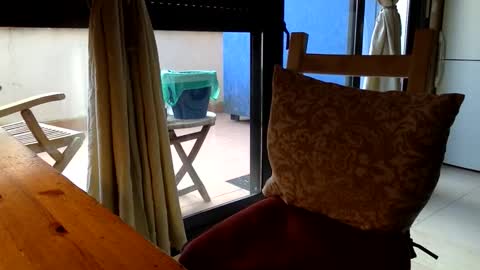 Fabro online show from 03/13/26, 07:48