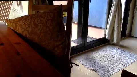 Fabro online show from 04/23/26, 08:13