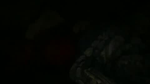 Snapshot of fabx7777 chatting on 01/06/25, 09:22 FABX online show from 01/06/25, 09:22