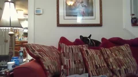 fairmount31 online show from 11/01/25, 10:12