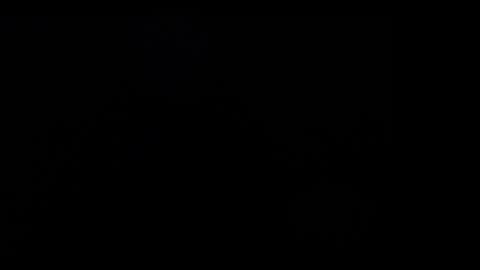 FallGays online show from 12/26/24, 04:32