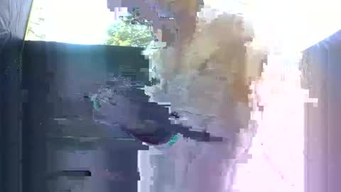 Snapshot of famousmaddyhazetv chatting on 10/21/25, 12:00 Maddy Haze online show from 10/21/25, 12:00