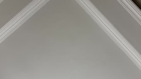 famsea online show from 11/10/25, 01:48