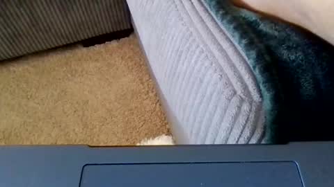 Caylenge online show from 04/21/26, 04:23