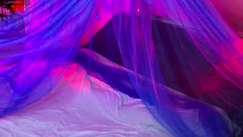 Fairy online show from 11/14/25, 10:18