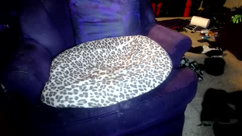 Farrah online show from 10/08/25, 05:16