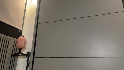 Gattino online show from 03/08/25, 07:31