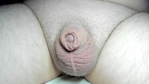 Fatmanscock online show from 12/08/24, 04:04