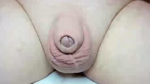 Fatmanscock online show from 10/26/25, 03:34