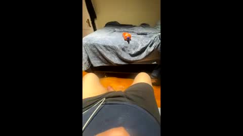 Snapshot of fatz71056 chatting on 11/22/25, 05:17 fatz71056 online show from 11/22/25, 05:17