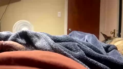 Snapshot of fatz71056 chatting on 12/23/25, 08:56 fatz71056 online show from 12/23/25, 08:56