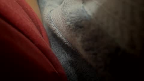 Snapshot of fatz71056 chatting on 02/24/26, 12:58 fatz71056 online show from 02/24/26, 12:58