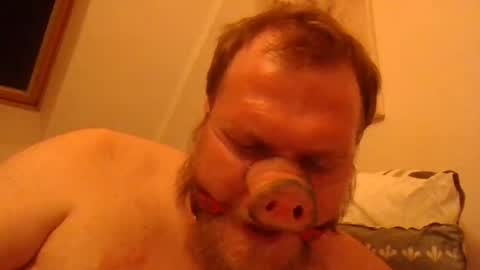 Snapshot of fckcbacc89 chatting on 06/20/26, 01:30 Horny Fat Boy online show from 06/20/26, 01:30
