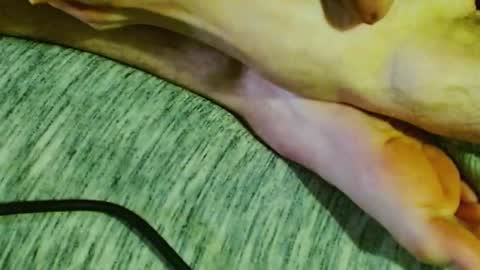 Snapshot of feelingverynaughty chatting on 01/30/25, 01:44 ask me online show from 01/30/25, 01:44