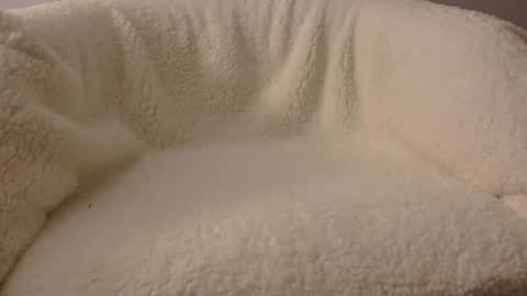 feels_too_good online show from 04/09/26, 02:11