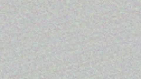 FeleenaFux online show from 05/03/26, 07:20