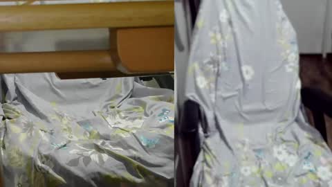 Snapshot of felixlau chatting on 12/16/24, 10:50 felixlau online show from 12/16/24, 10:50