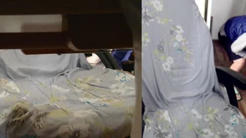 Snapshot of felixlau chatting on 01/07/25, 07:42 felixlau online show from 01/07/25, 07:42