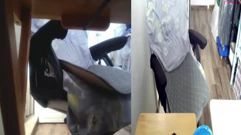 Snapshot of felixlau chatting on 05/15/26, 02:07 felixlau online show from 05/15/26, 02:07