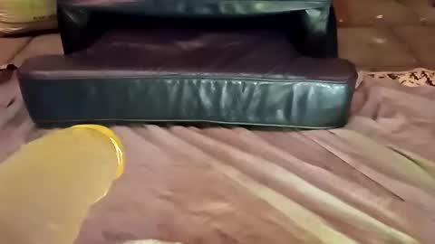 Snapshot of femboy710cum chatting on 12/21/24, 11:24 femboy710cum online show from 12/21/24, 11:24