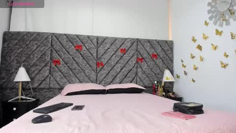 Snapshot of femboy_max chatting on 01/06/26, 07:28 Femboy Max online show from 01/06/26, 07:28