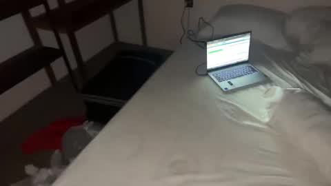 Dani online show from 11/12/25, 08:30