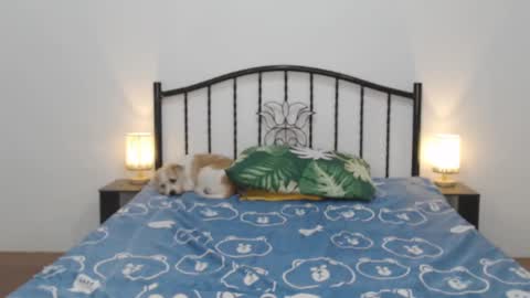 Snapshot of femininets69 chatting on 02/11/25, 11:22 kaylee online show from 02/11/25, 11:22