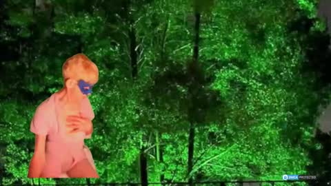 Daniani online show from 03/01/26, 10:12