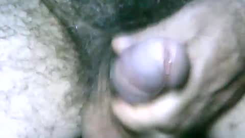 fer_2197 online show from 01/01/25, 04:29