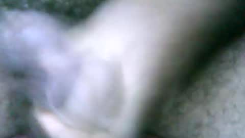 fer_2197 online show from 02/18/25, 02:06