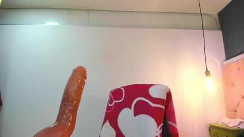 Snapshot of fer_wow chatting on 02/27/25, 01:28 Fernanda online show from 02/27/25, 01:28