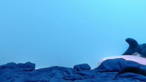 FE fee online show from 02/28/25, 02:09