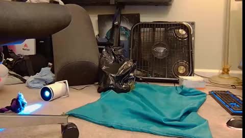 FE fee online show from 10/06/25, 06:00