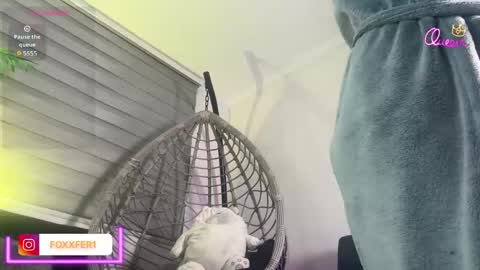 Snapshot of fernandafox_ chatting on 06/03/26, 03:53 fernanda online show from 06/03/26, 03:53