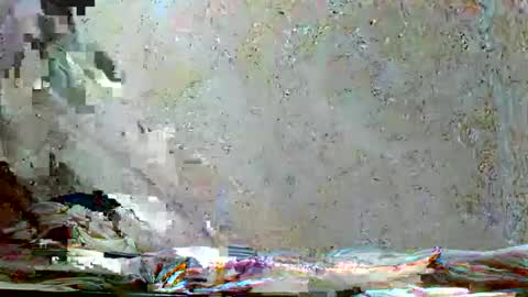 fernandez_latinblack online show from 11/18/25, 10:31