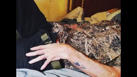 ferra_testarossa online show from 01/04/25, 02:56