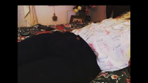 ferra_testarossa online show from 11/24/25, 02:33