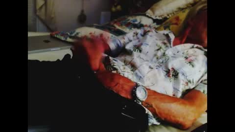 ferra_testarossa online show from 07/01/26, 05:31