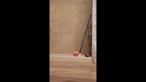 fetishdad863 online show from 04/22/26, 02:18