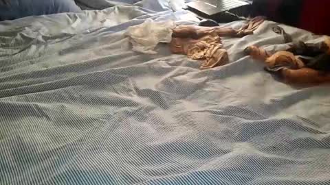 ffst0ckings online show from 12/25/24, 07:56