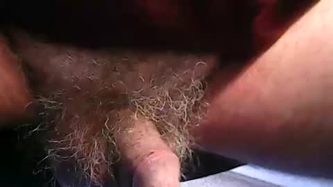 Snapshot of fh1963 chatting on 02/20/26, 12:16 fh1963 online show from 02/20/26, 12:16