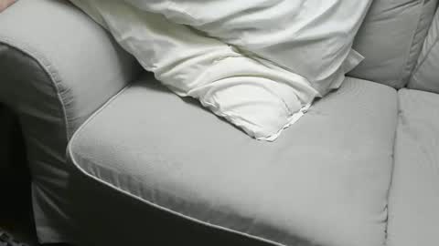 Fid online show from 11/16/25, 09:48