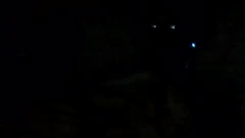 filippo online show from 09/14/25, 09:41