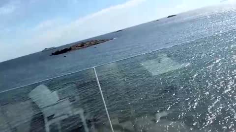 fischandchip online show from 10/11/25, 10:47