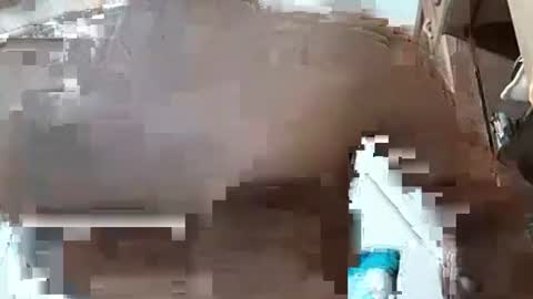 Snapshot of fitchestabs_69 chatting on 12/07/24, 03:25 fitchestabs_69 online show from 12/07/24, 03:25