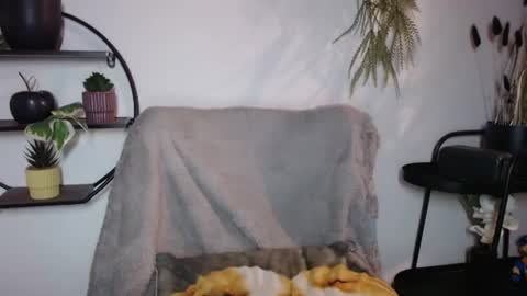Snapshot of fitness1989 chatting on 07/20/26, 08:55 fitness1989 online show from 07/20/26, 08:55