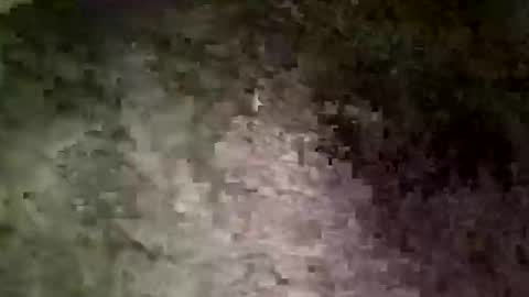 flboy30 online show from 06/01/26, 04:31