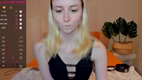 FlexiMona online show from 12/08/24, 12:52