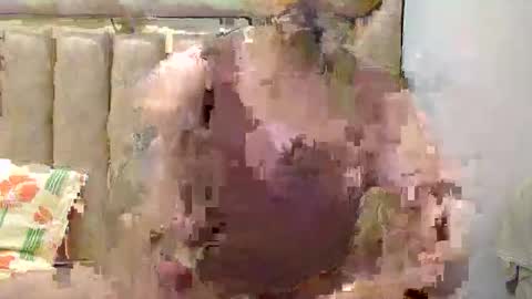 flirtsxxx online show from 04/21/26, 04:12